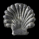 Lead grey pilgrim badge in the shape of a scallop shell against a black background